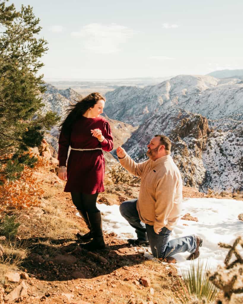 Surprise Proposal