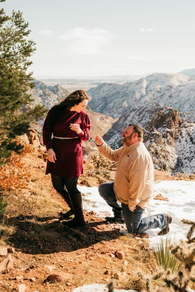 Surprise Proposal