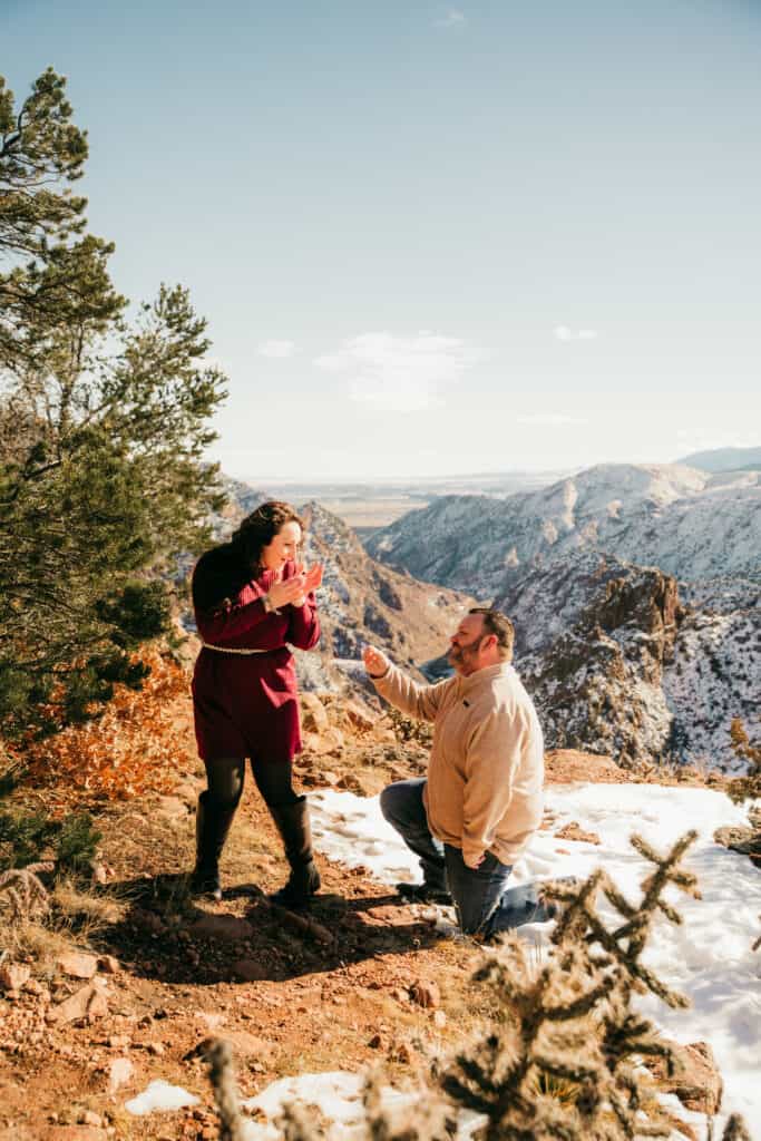 Surprise Proposal