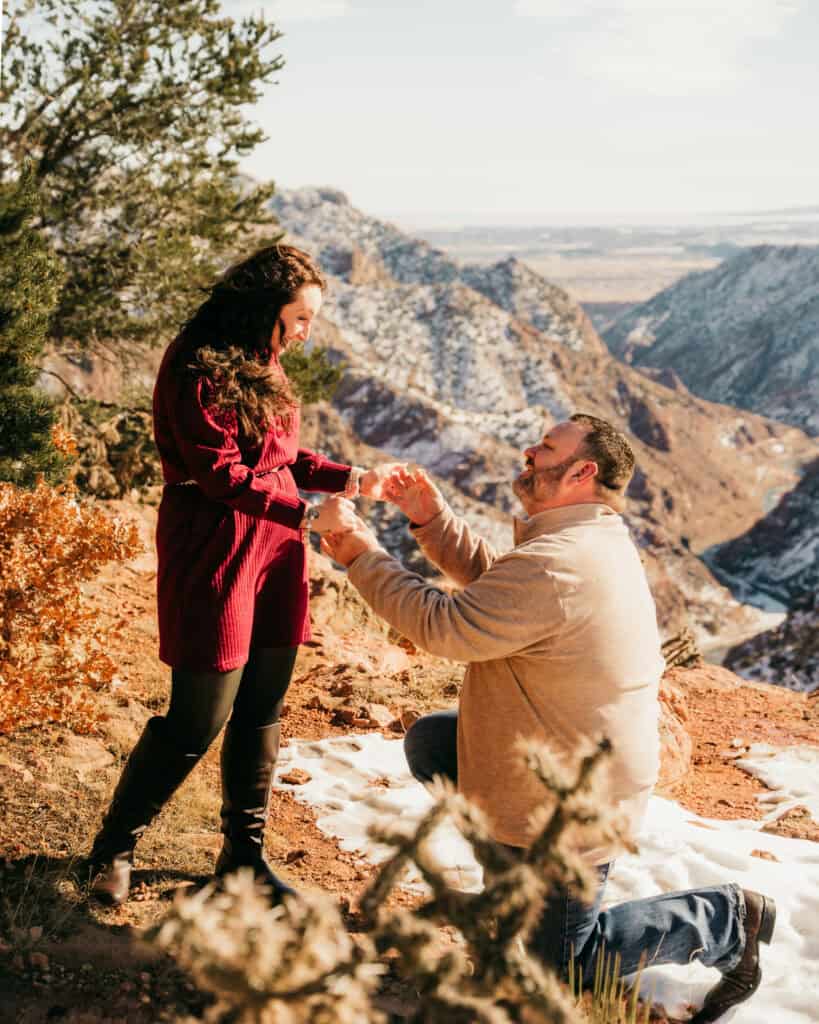Surprise Proposal